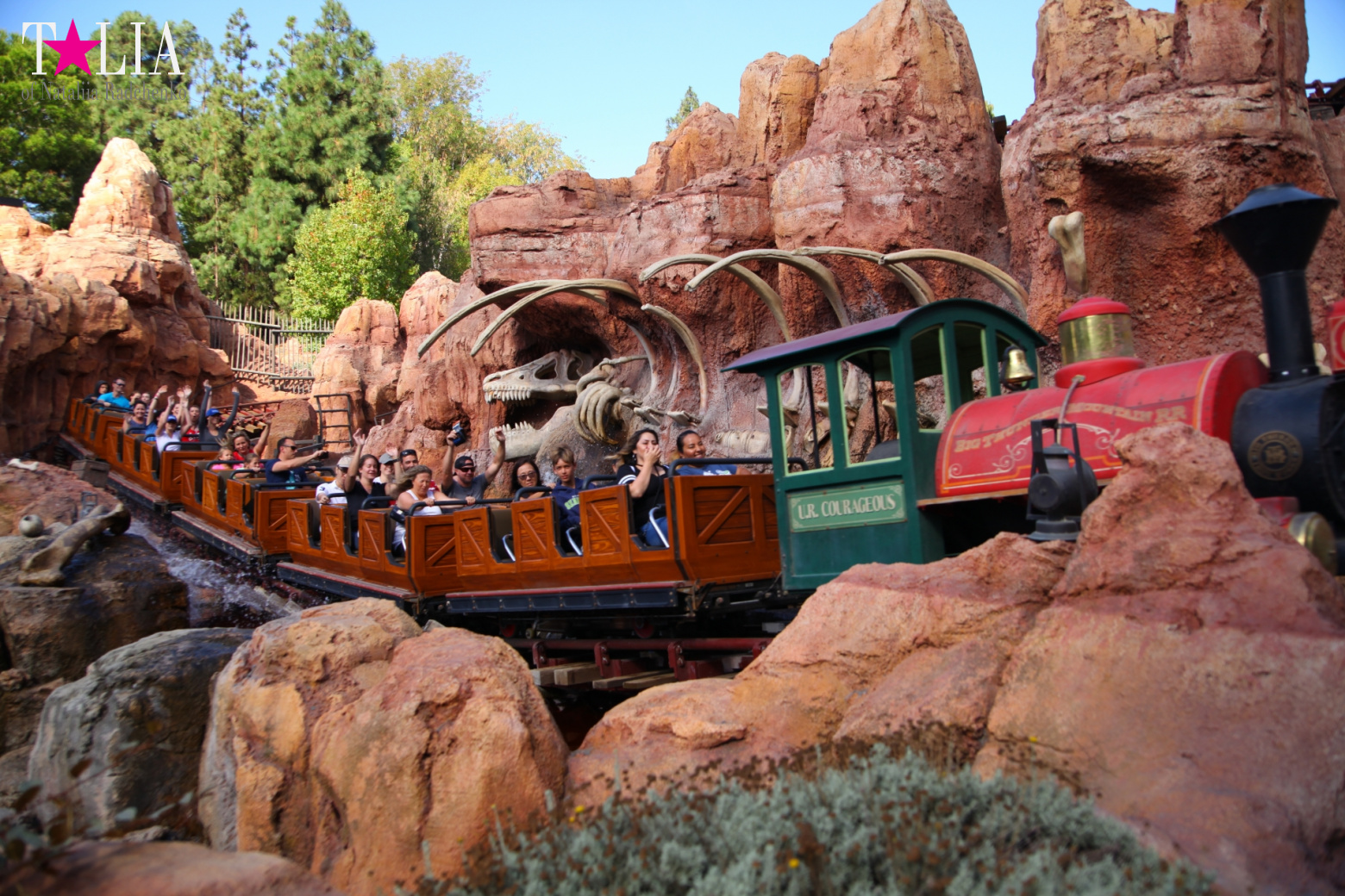 Диснейленд в Калифорнии (Анахайм, Лос Анжелес). Аттракционы